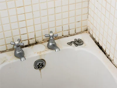 How to prevent Mould in your bathroom.