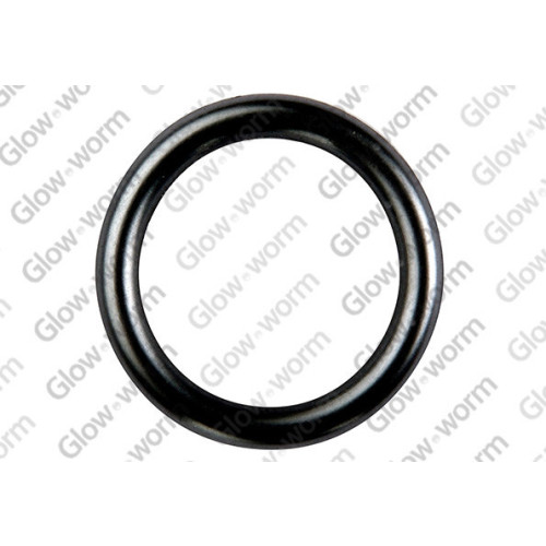 Glow-Worm O-Ring 