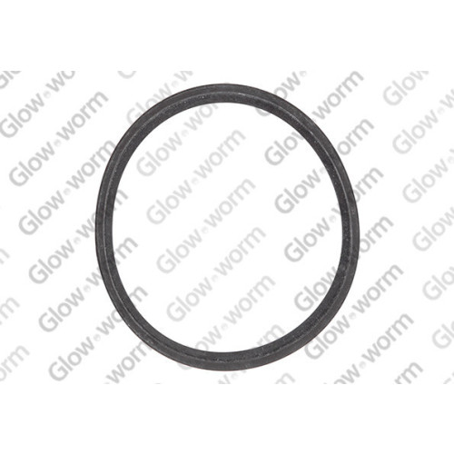 Glow-Worm Seal - Flue ***Old 2000801616*** 