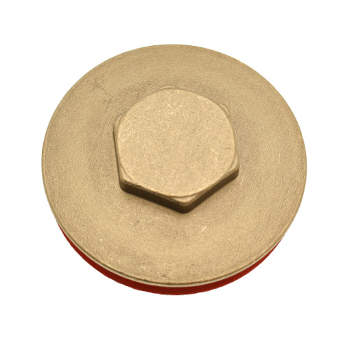 Immersion Heater Plug & Washer 