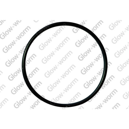 Glow-Worm O-Ring For Venturi Plate 