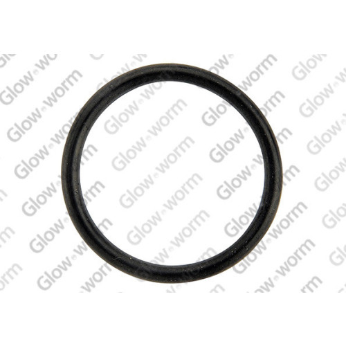 Glow-Worm O Ring 