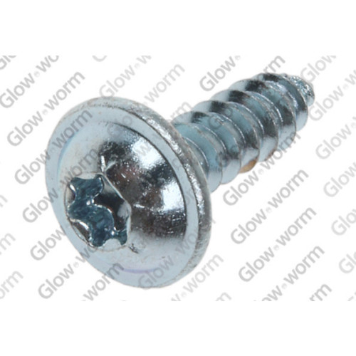 Glow-Worm Screw 4.2X13.5mm 