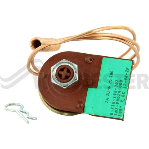 Worcester T/Stat Ranco Lm7 P9024 (Limit)