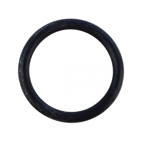 Baxi (Interpart) O Ring 22 X 3