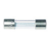 Regin Quick Blow Glass Fuse 20mm 2A