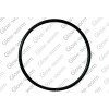 Glow-Worm O-Ring For Venturi Plate