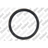 Vaillant Lip Seal Epdm (Dn 60)