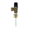 Baxi (Interpart) Valve T & P Relief 10Bar (95605810)