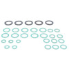 Ferroli Washer Set