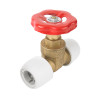 Hep2O Brass Gate Valve - 22mm